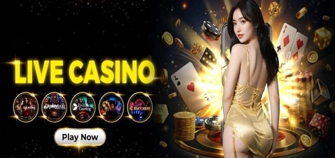 Rafi777 Betting